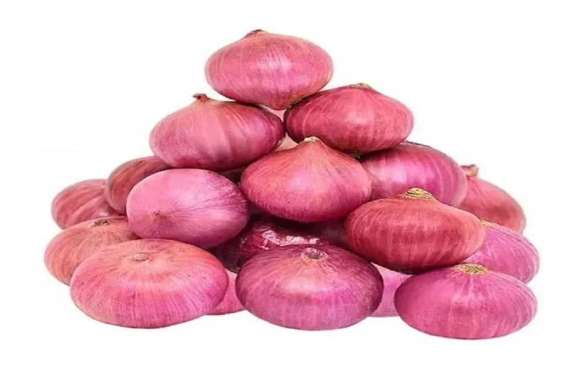 Onion Price