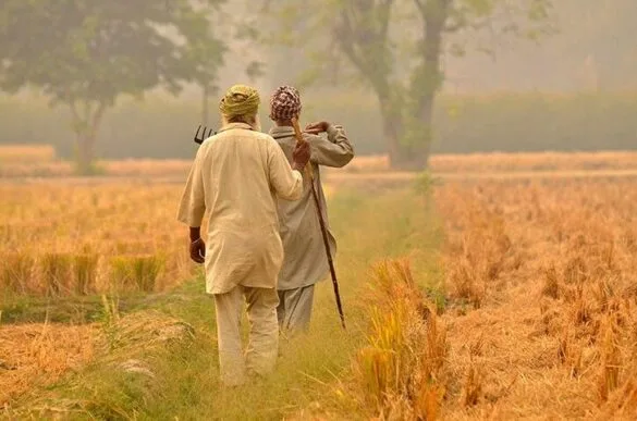 farmers will burn central government's agricultural marketing policy this Lohri
