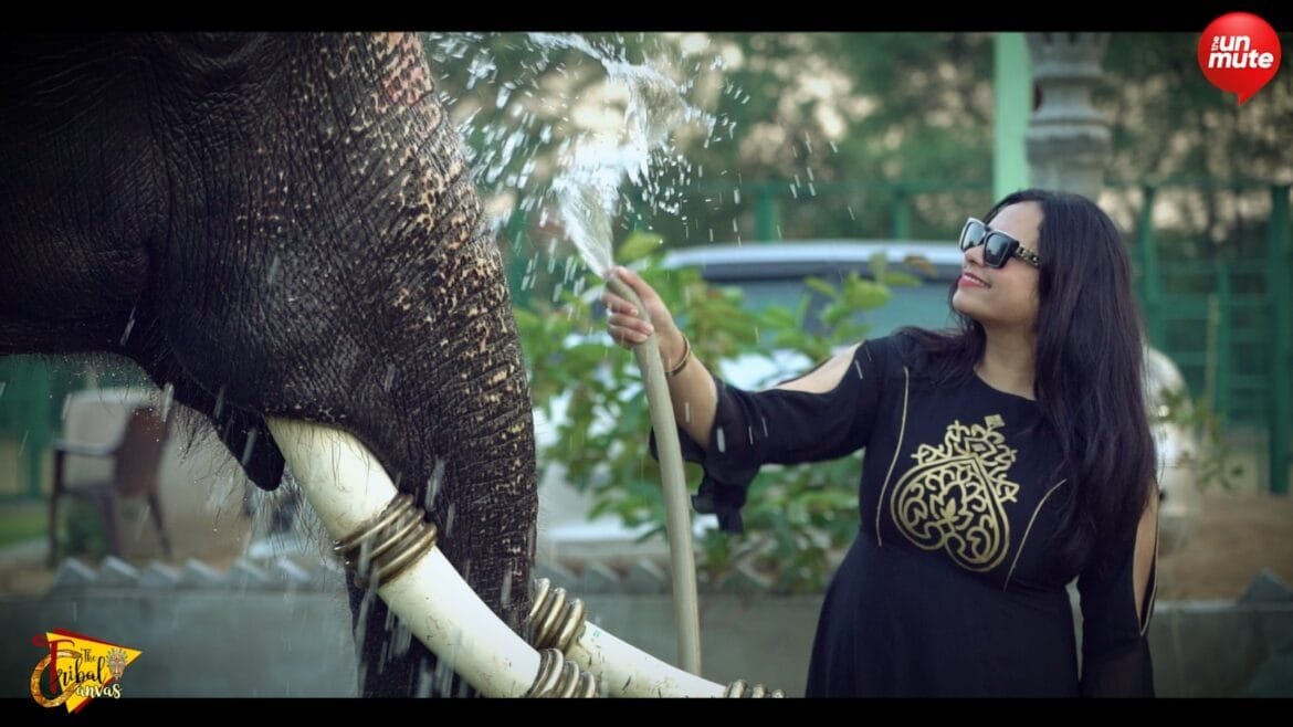 India's only elephant village situated in Jaipur, Rajasthan